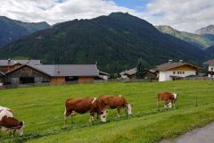 Unser Hof